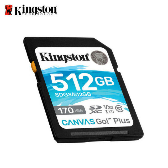 512G SD KINGST GO+ SDG3