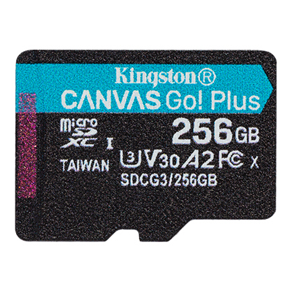 256G SDMIC KINGST GO+ SDCG3