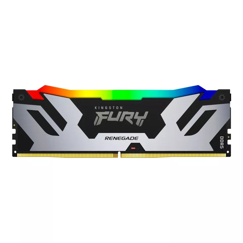 48G DDR5 6000 KING RENEGAD RGB